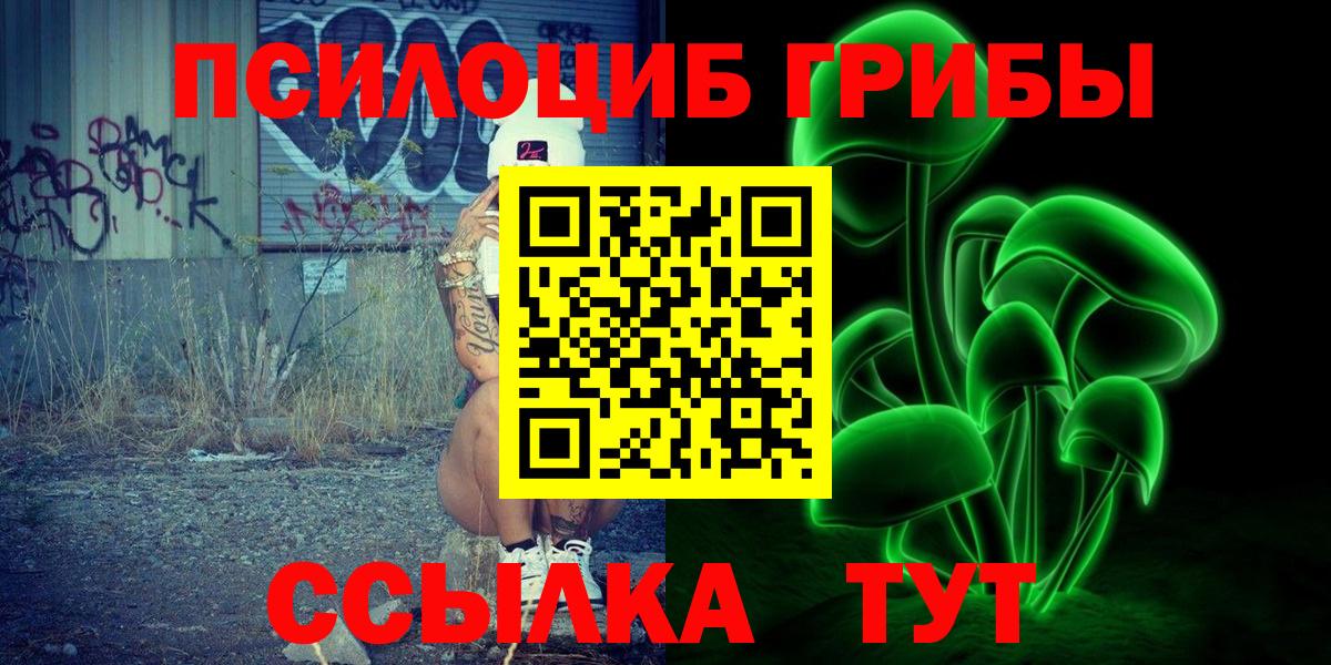 Псилоцибиновые грибы Cubensis Нягань