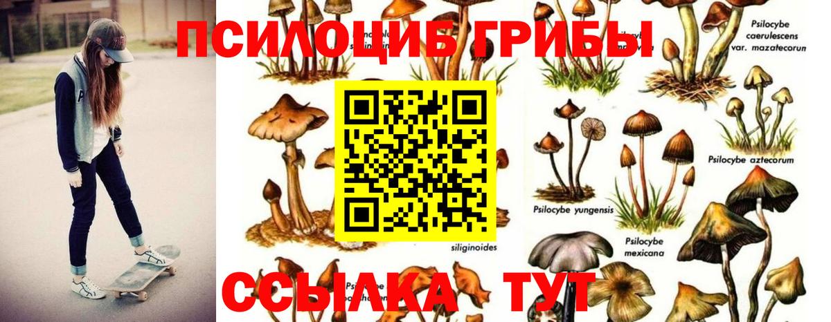 Нягань  Галлюциногенные грибы мицелий  Вход с VPN 