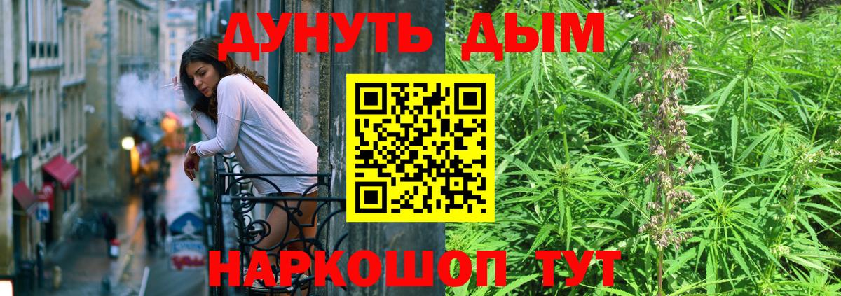Канабис сатива Нягань
